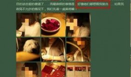 谁爆料家暴视频最新版,家暴视频揭露惊人真相